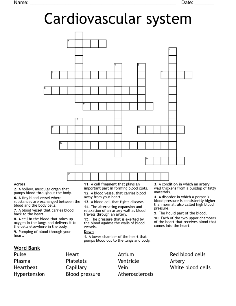 Cardiovascular system  Crossword