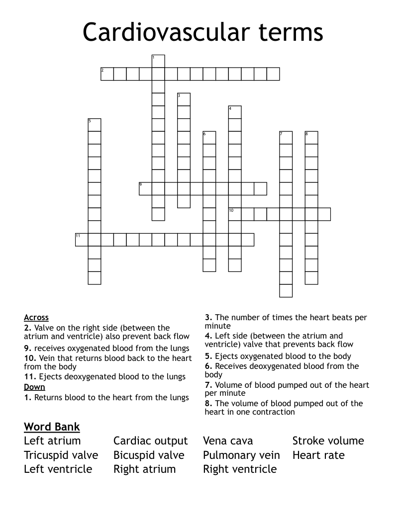 Cardiovascular terms  Crossword
