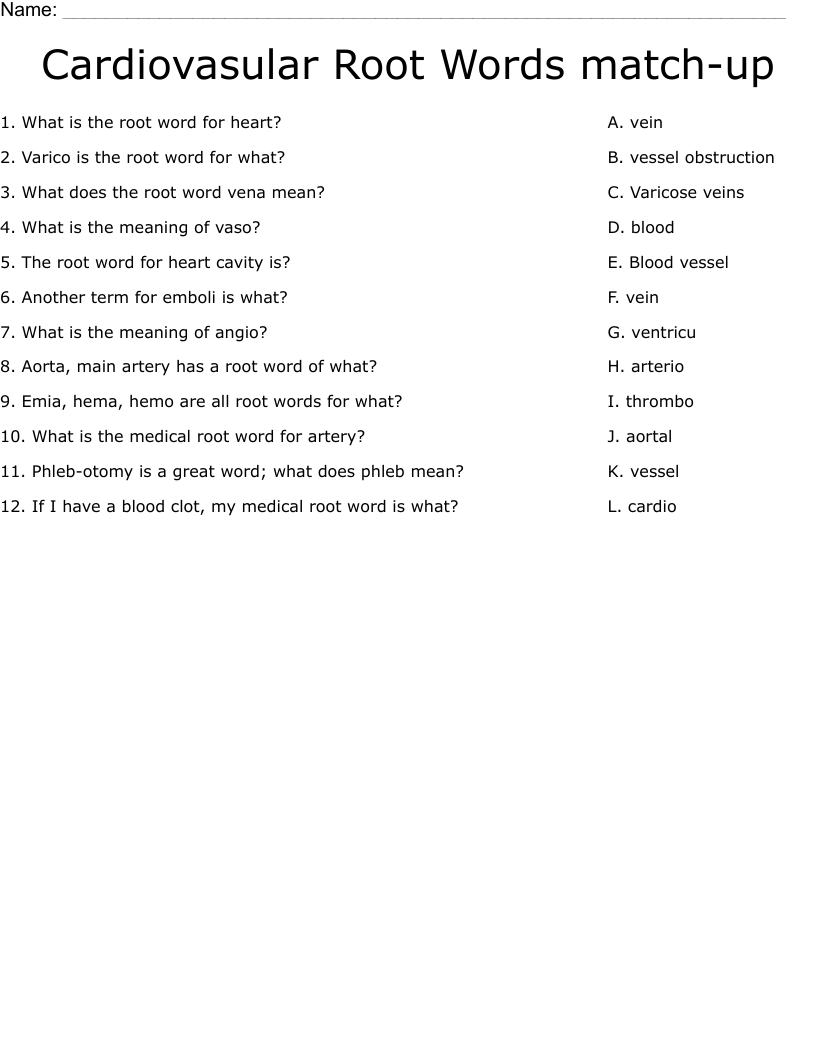 Cardiovasular Root Words match-up Worksheet