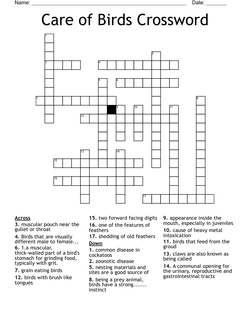 Care of Birds Crossword