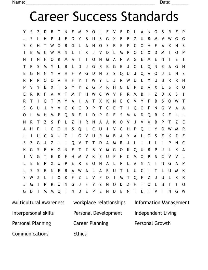 Career Success Standards Word Search