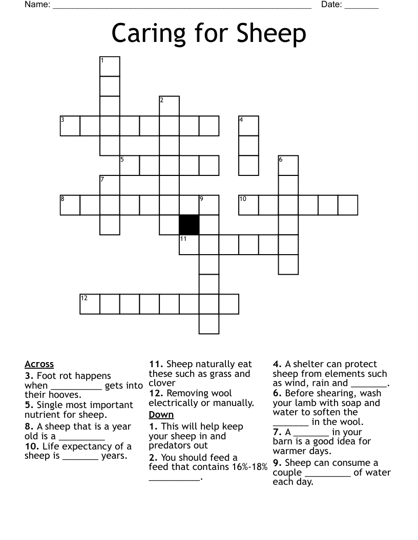Caring for Sheep Crossword