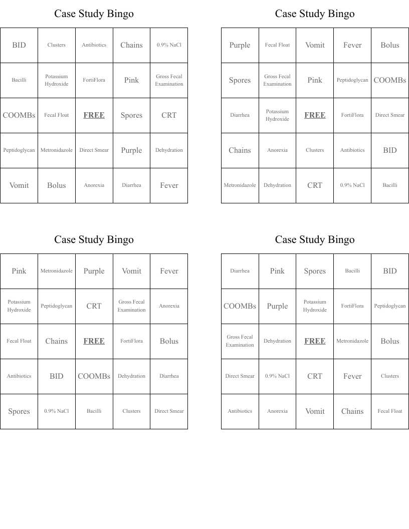 Case Study Bingo