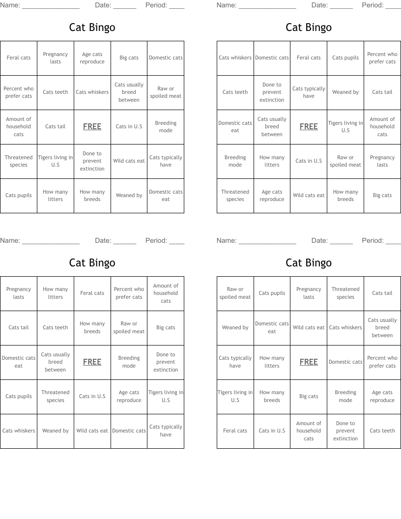Cat Bingo