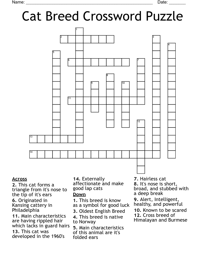 Cat Breed Crossword Puzzle