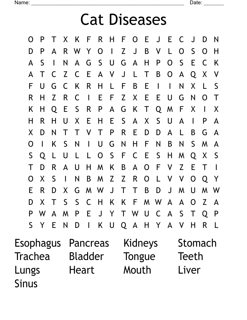 Cat Diseases  Word Search