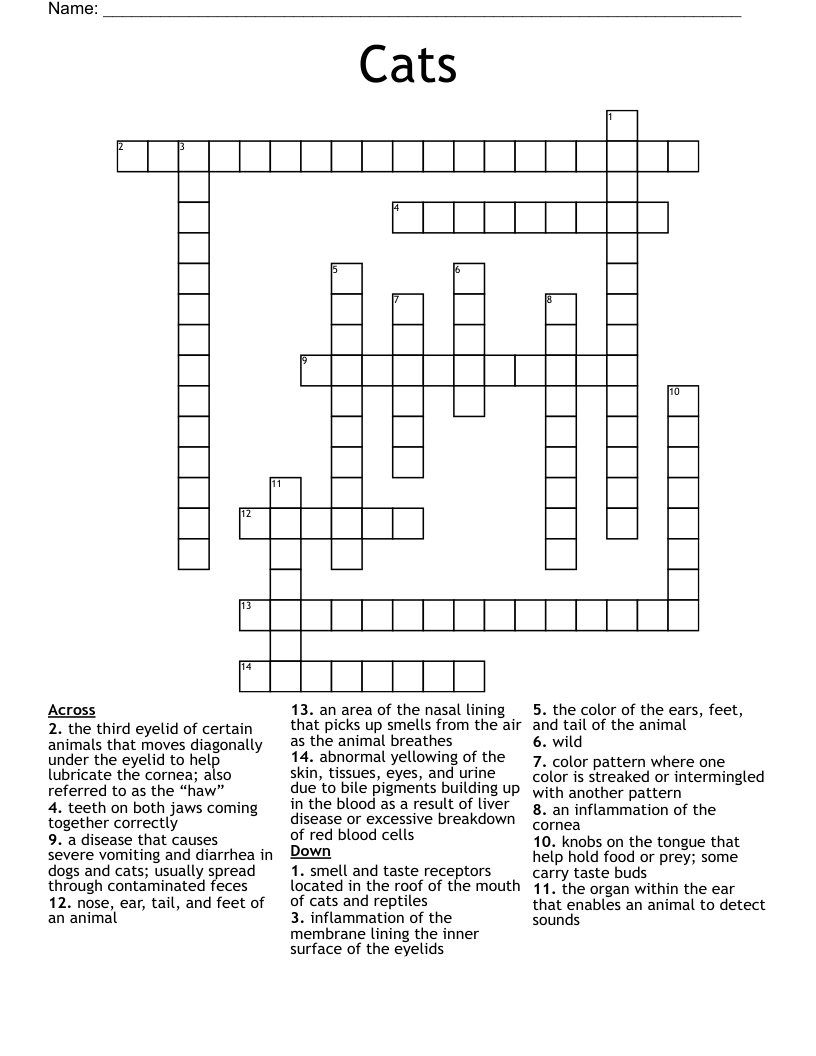 Cats Crossword