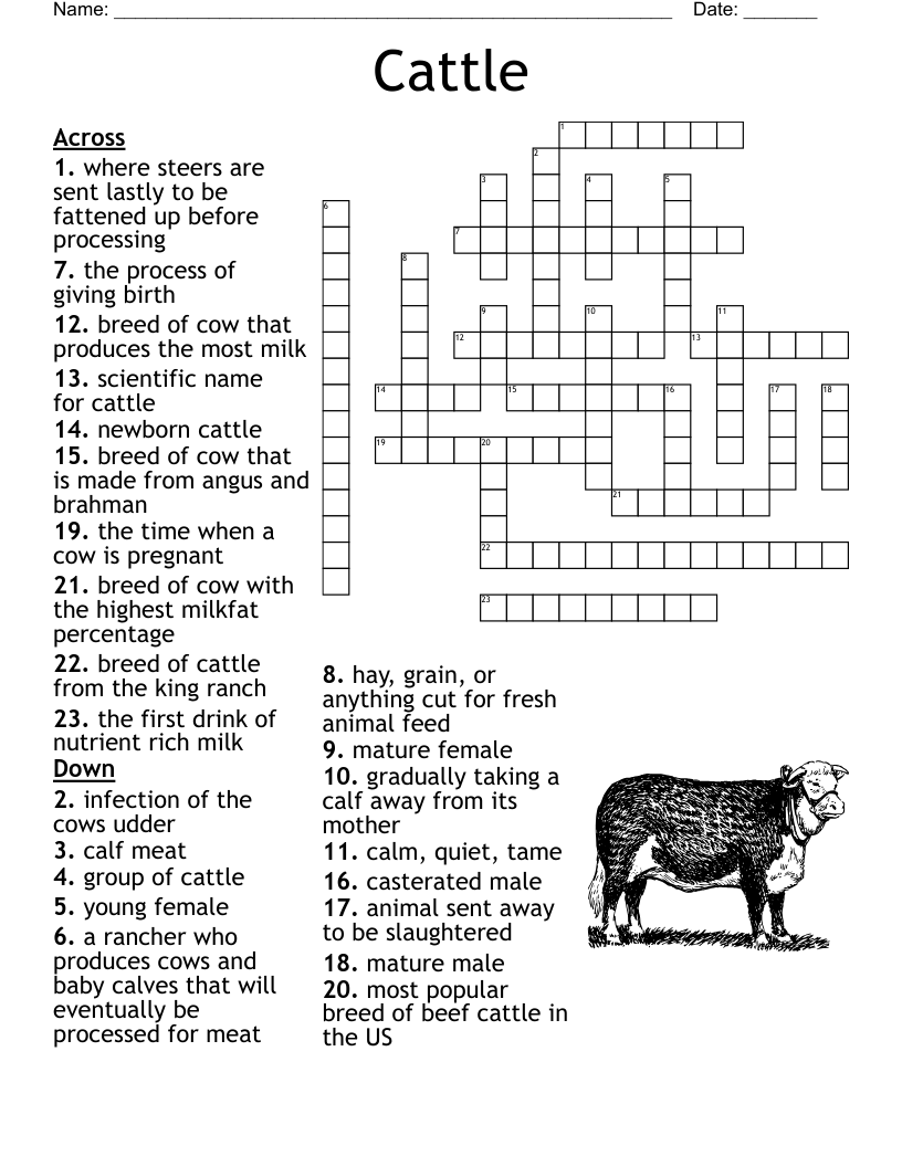 Cattle Crossword