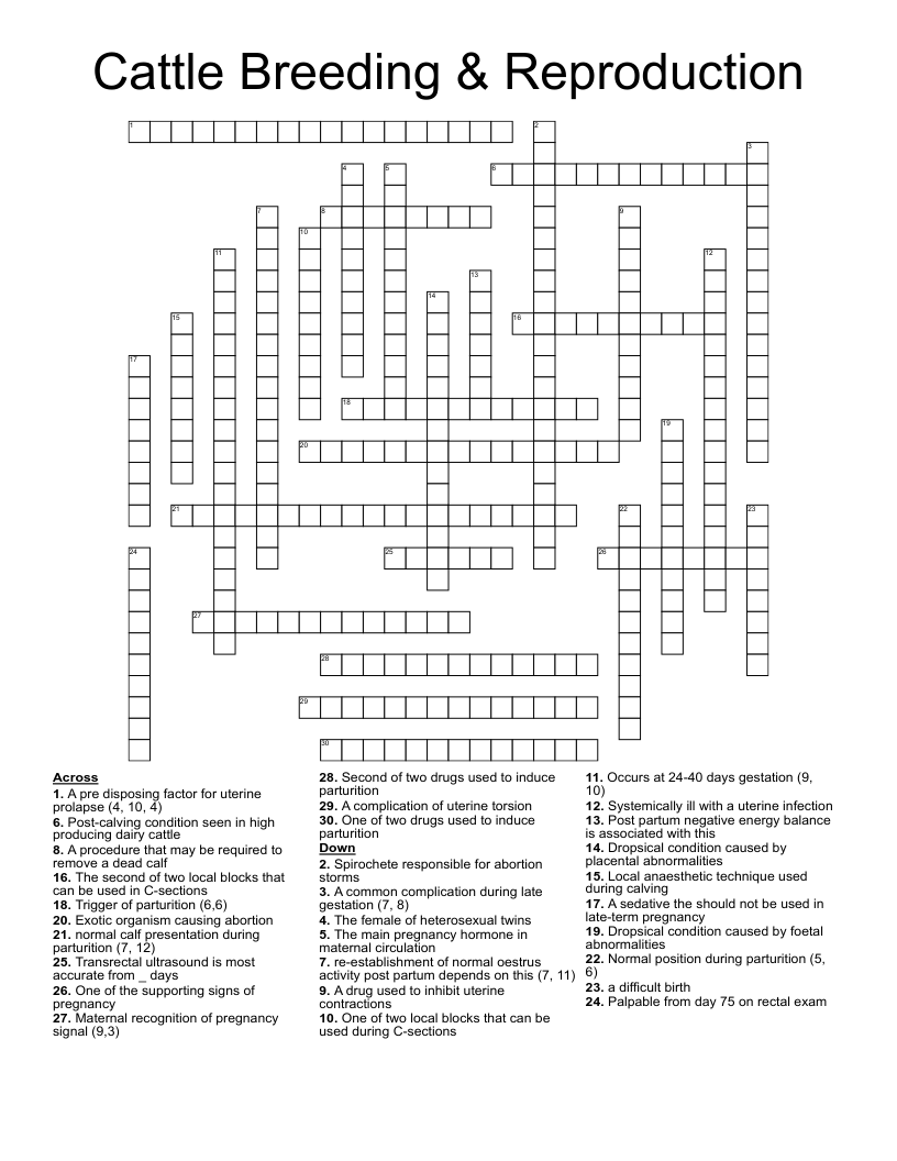 Cattle Breeding & Reproduction Crossword