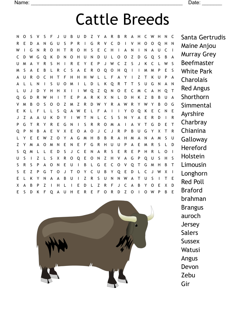 Cattle Breeds Word Search