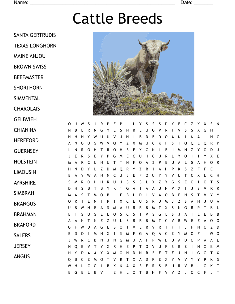 Cattle Breeds Word Search