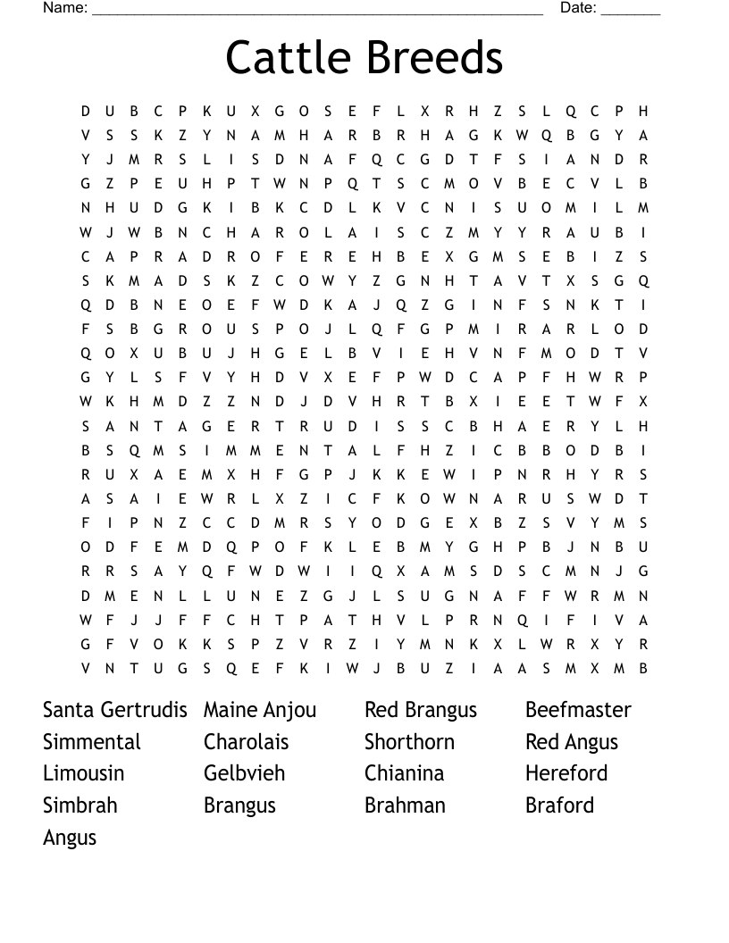Cattle Breeds Word Search
