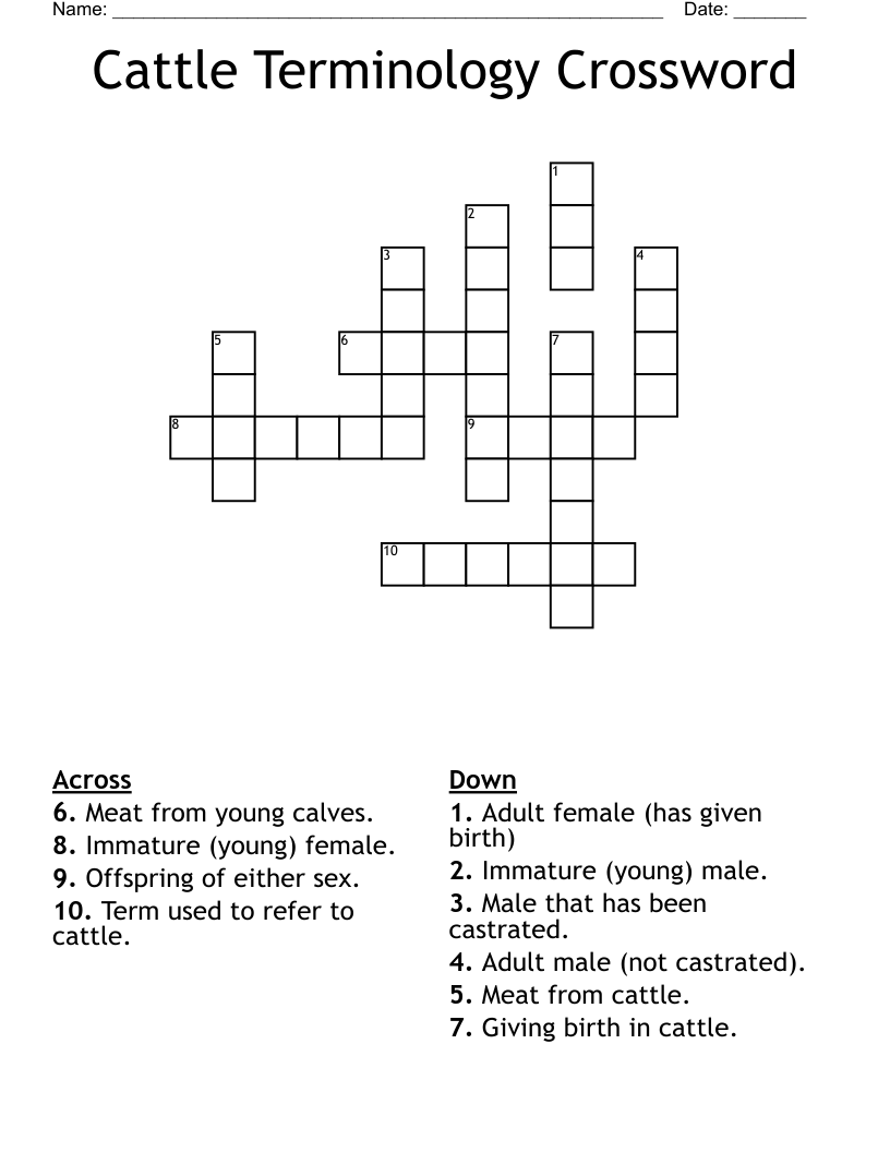Cattle Terminology Crossword