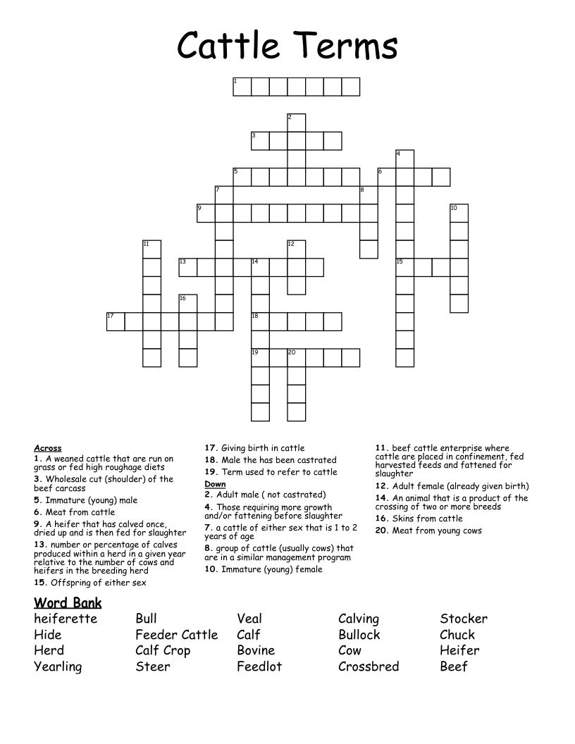 Cattle Terms Crossword