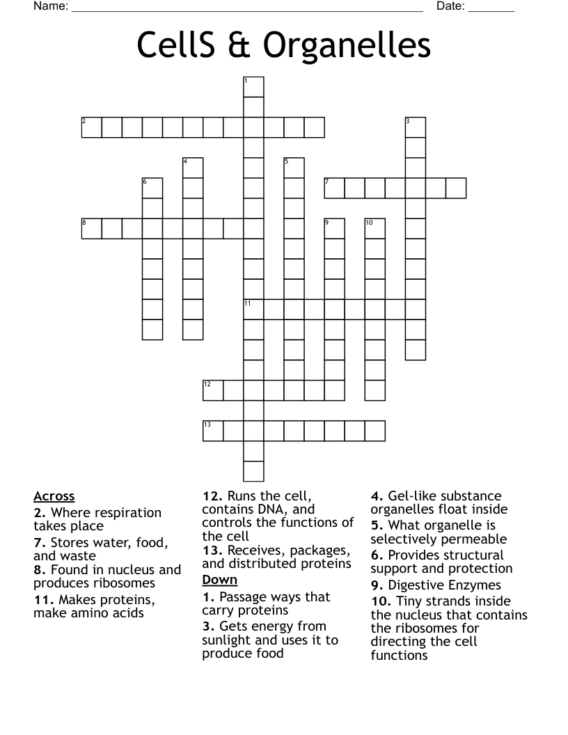 CellS & Organelles  Crossword
