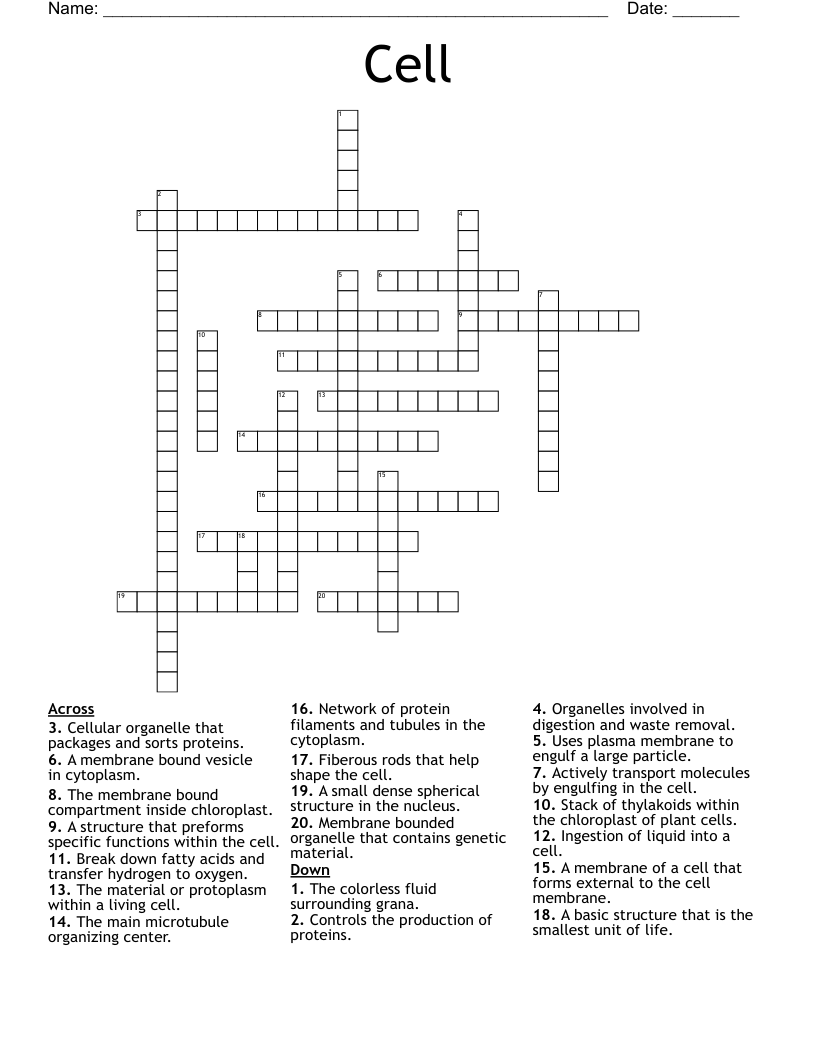Cell Crossword