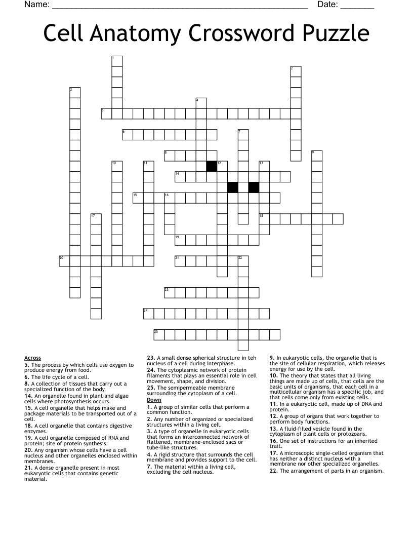 Cell Anatomy Crossword Puzzle