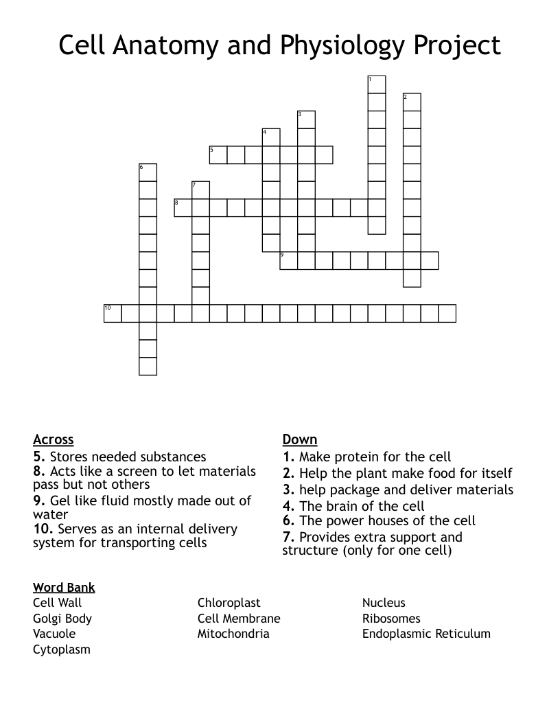 Cell Anatomy and Physiology Project Crossword
