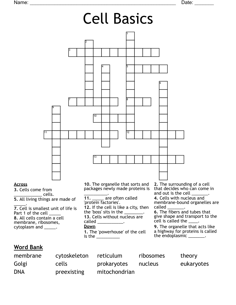 Cell Basics Crossword