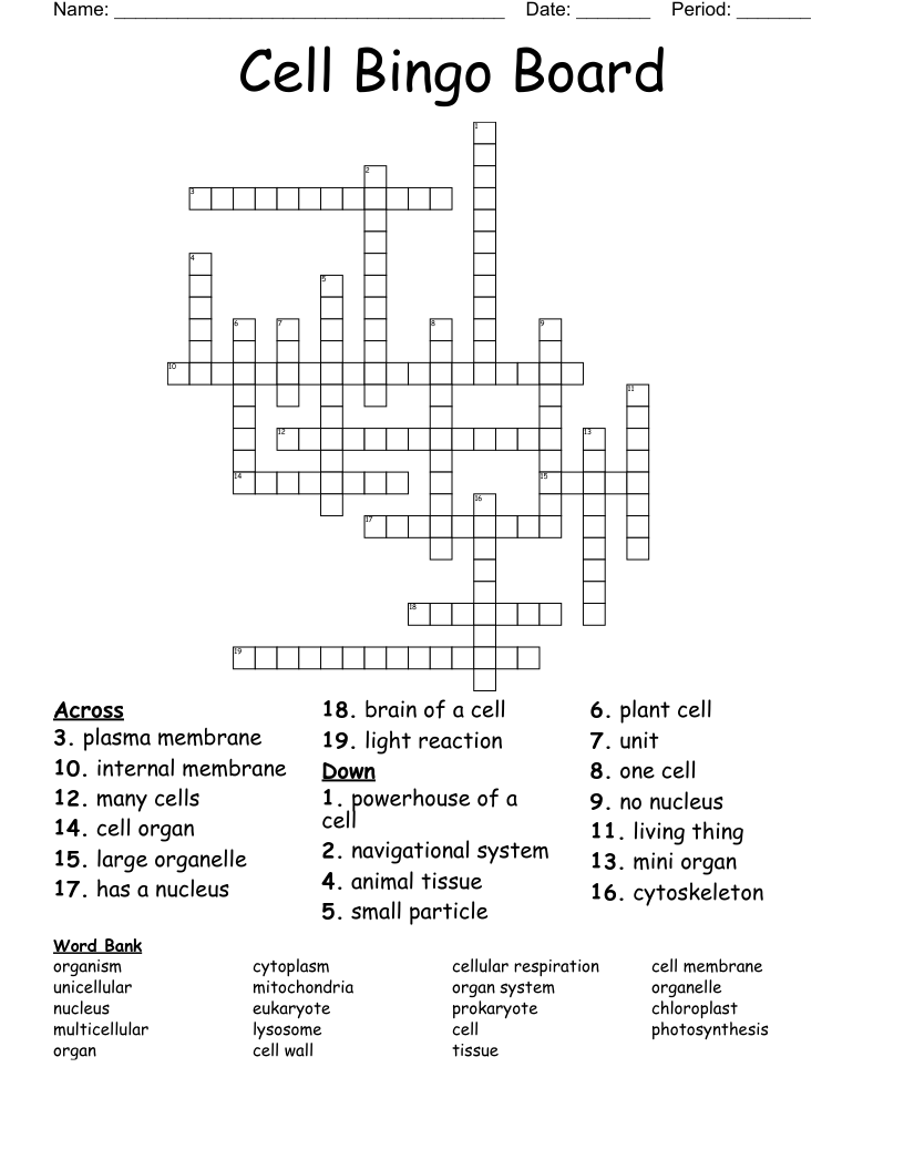 Cell Bingo Board Crossword