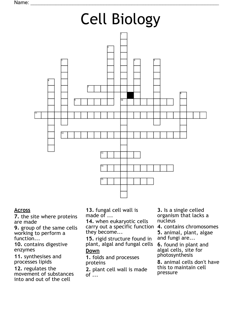 Cell Biology Crossword