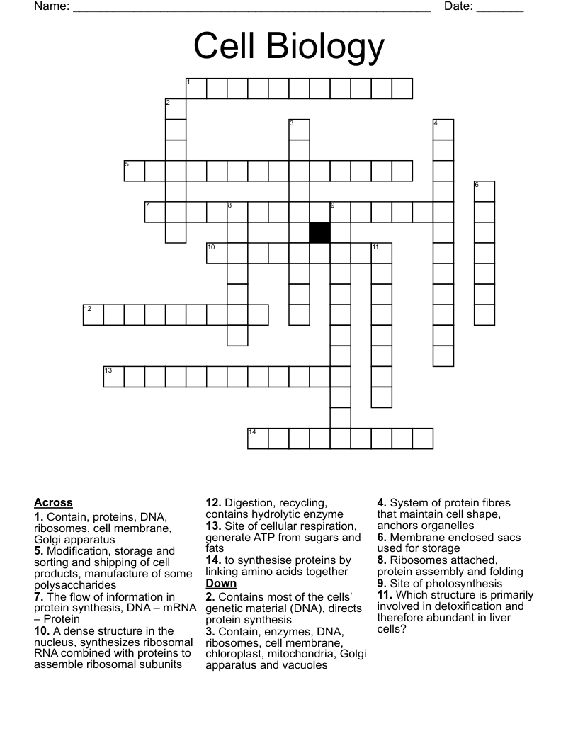 Cell Biology Crossword