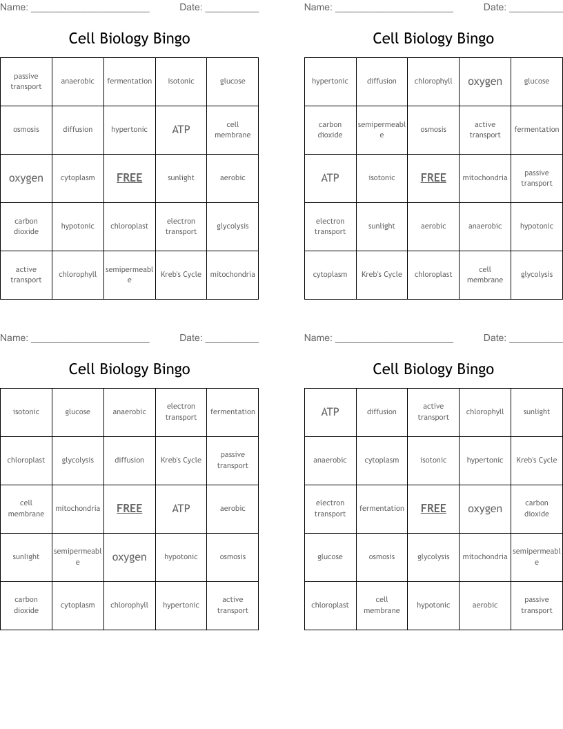 Cell Biology Bingo