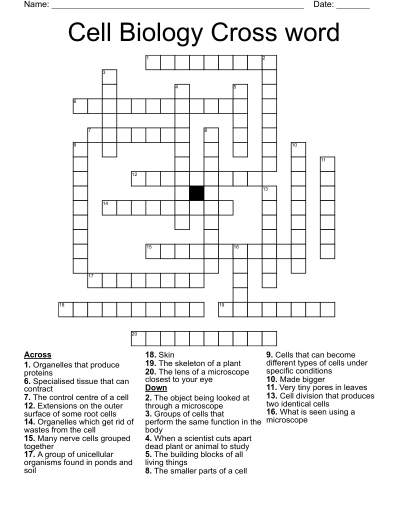 Cell Biology Cross word