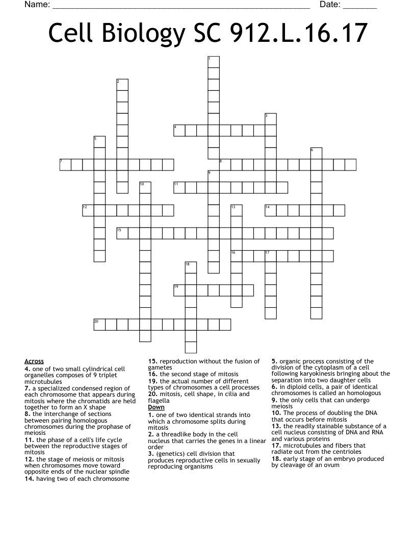 Cell Biology SC 912.L.16.17 Crossword