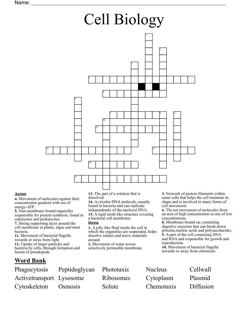 Cell Biology  Crossword