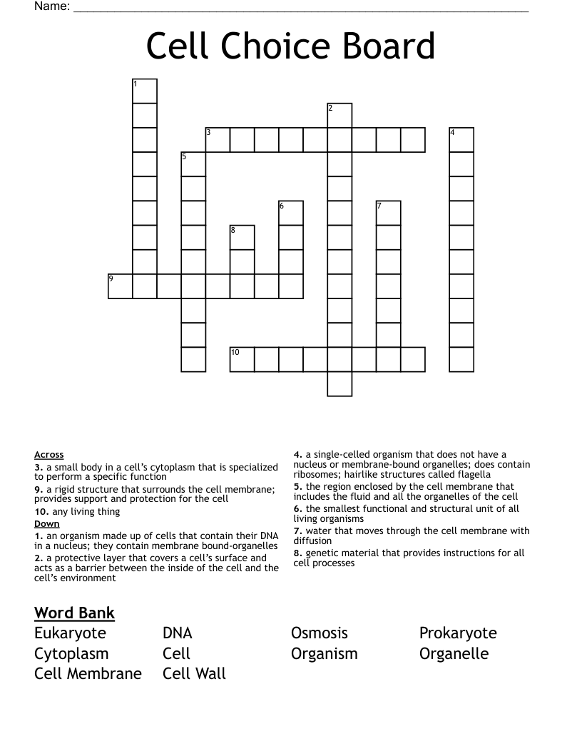 Cell Choice Board  Crossword