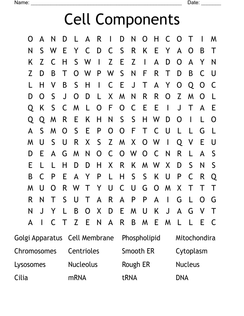 Cell Components Word Search