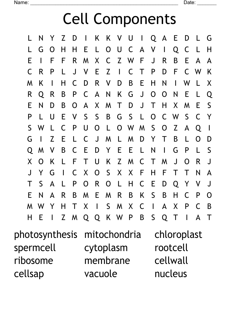 Cell Components Word Search