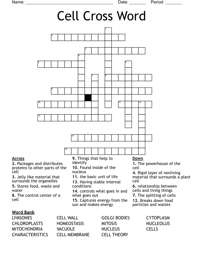 Cell Cross Word 