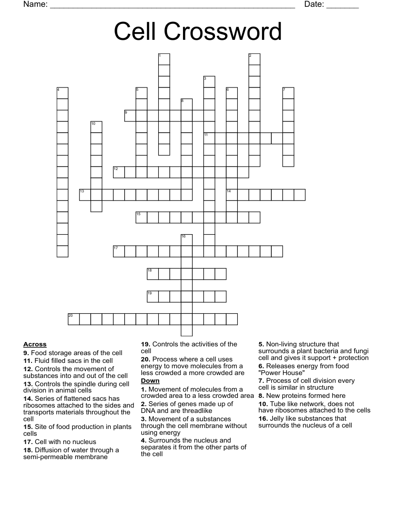 Cell Crossword