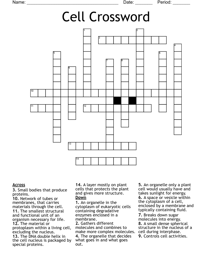 Cell Crossword