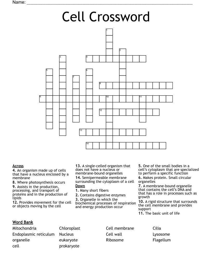 Cell Crossword