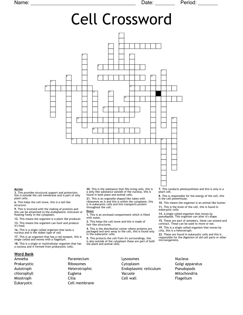 Cell Crossword