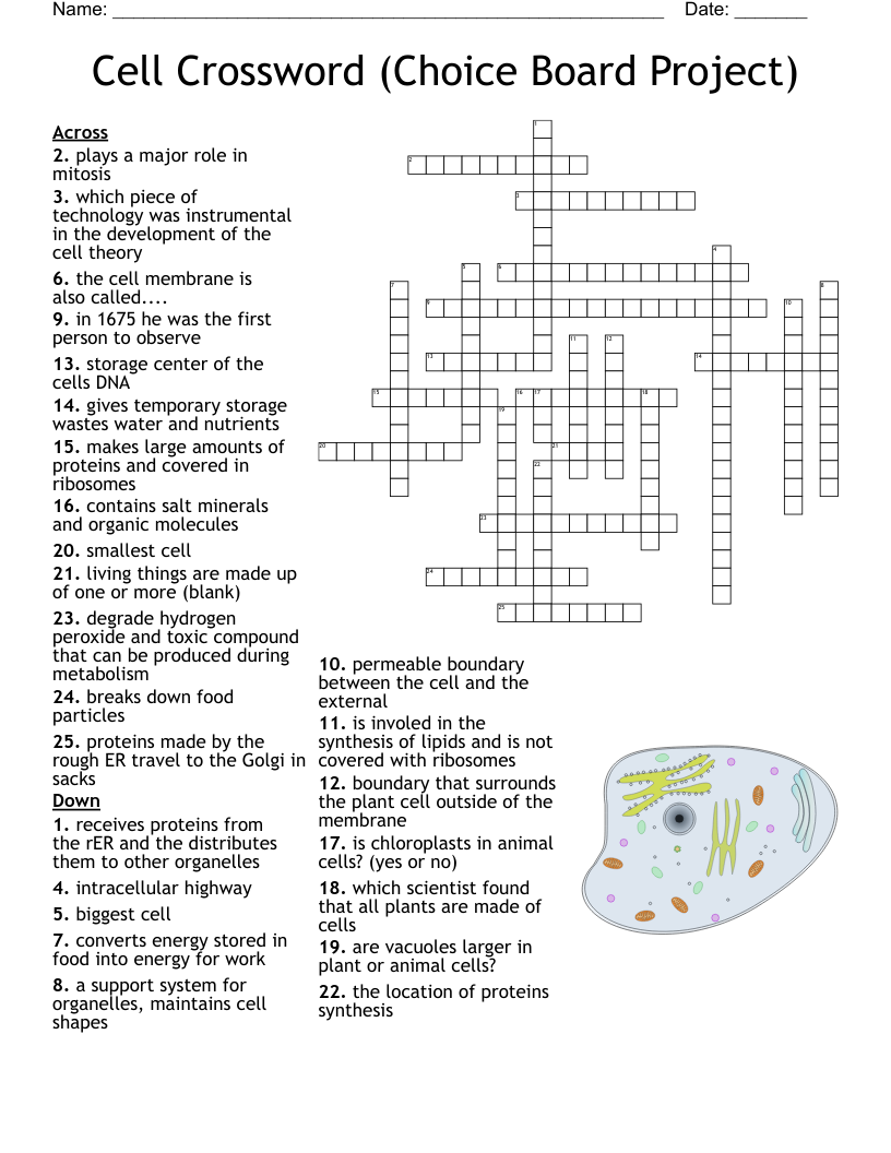 Cell Crossword (Choice Board Project)