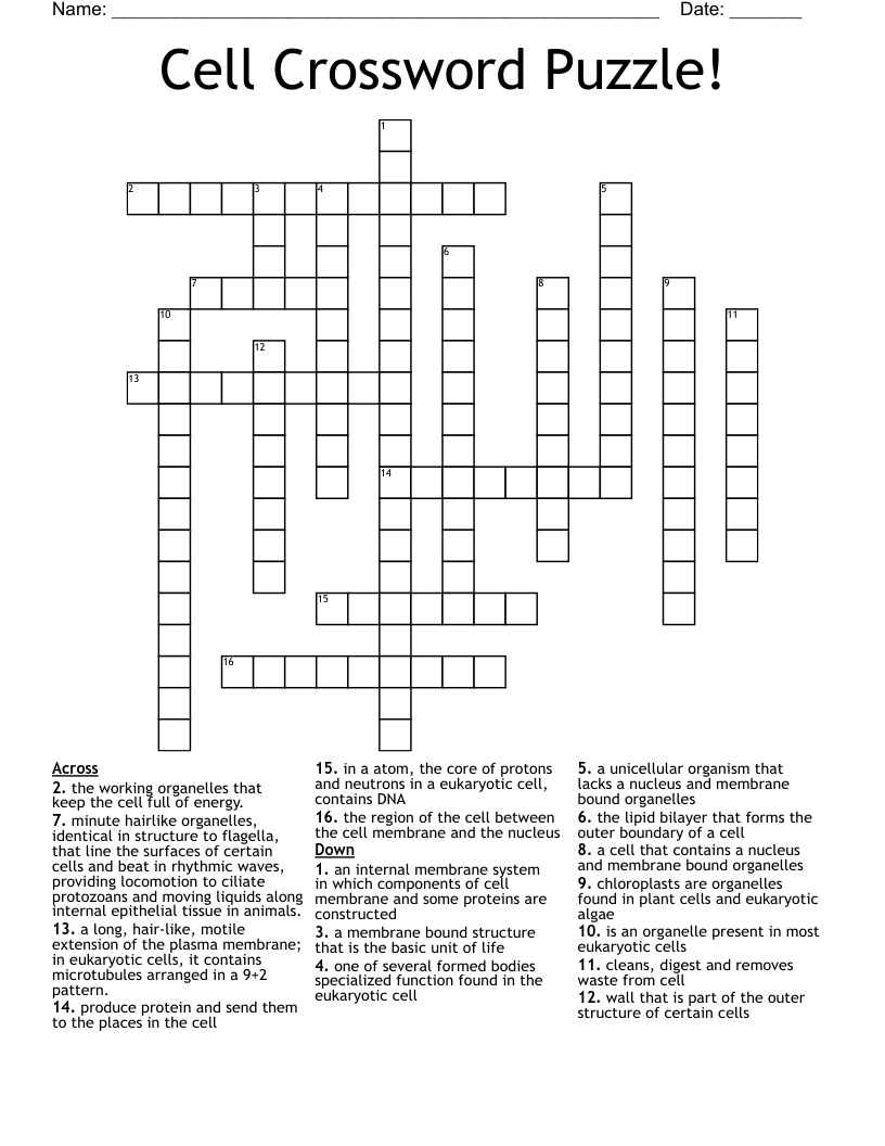 Cell Crossword Puzzle!