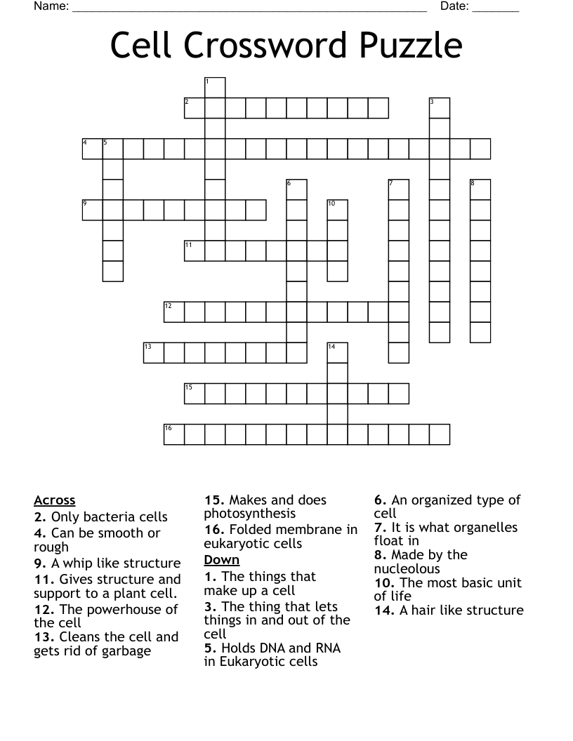 Cell Crossword Puzzle