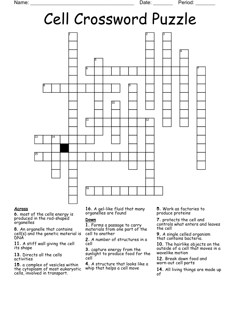 Cell Crossword Puzzle