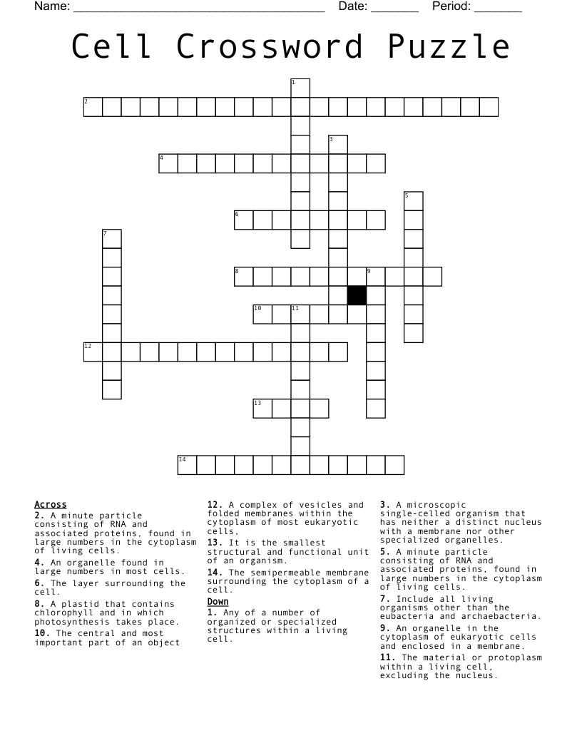 Cell Crossword Puzzle 