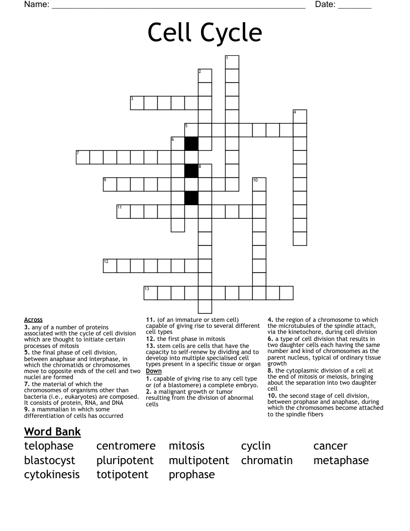 Cell Cycle Crossword