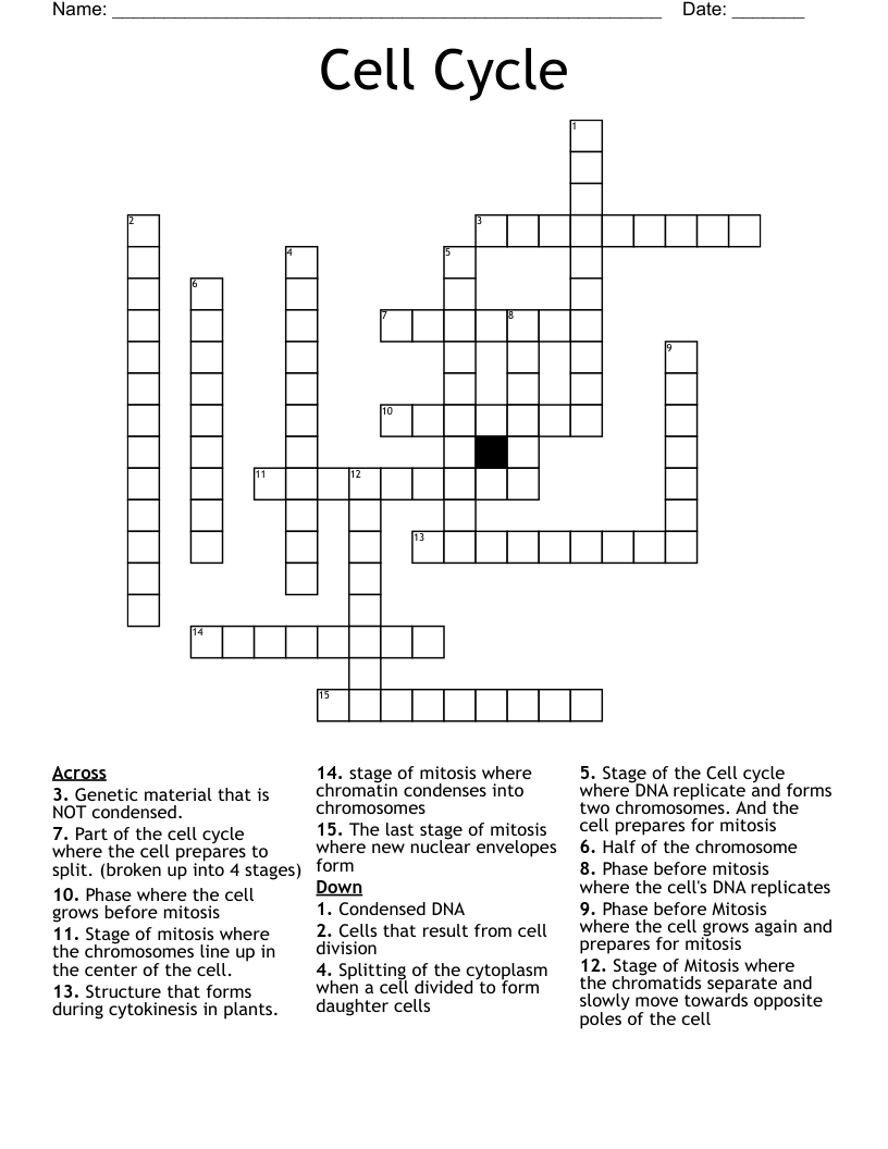 Cell Cycle Crossword