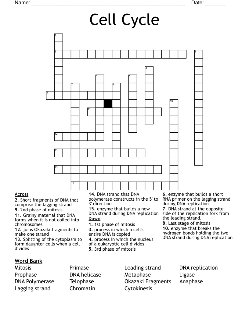Cell Cycle Crossword