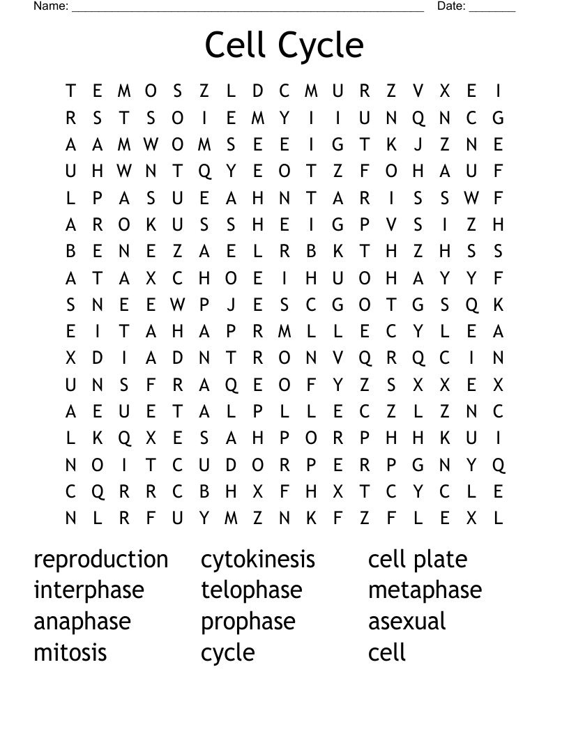 Cell Cycle Word Search