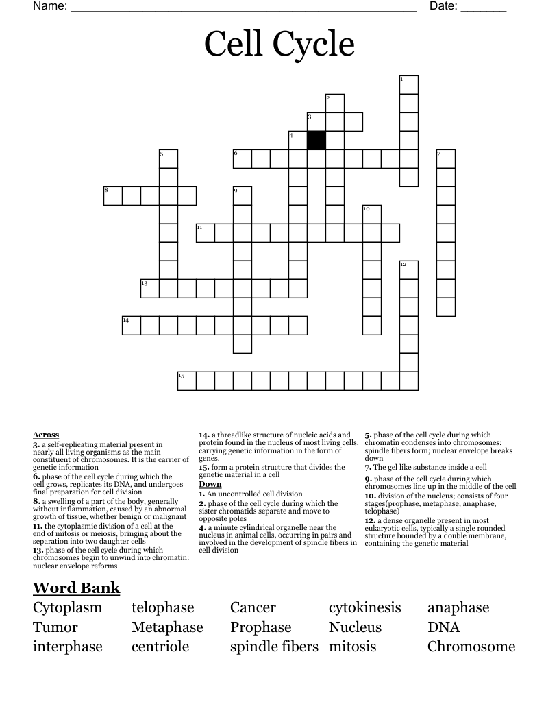 Cell Cycle Crossword