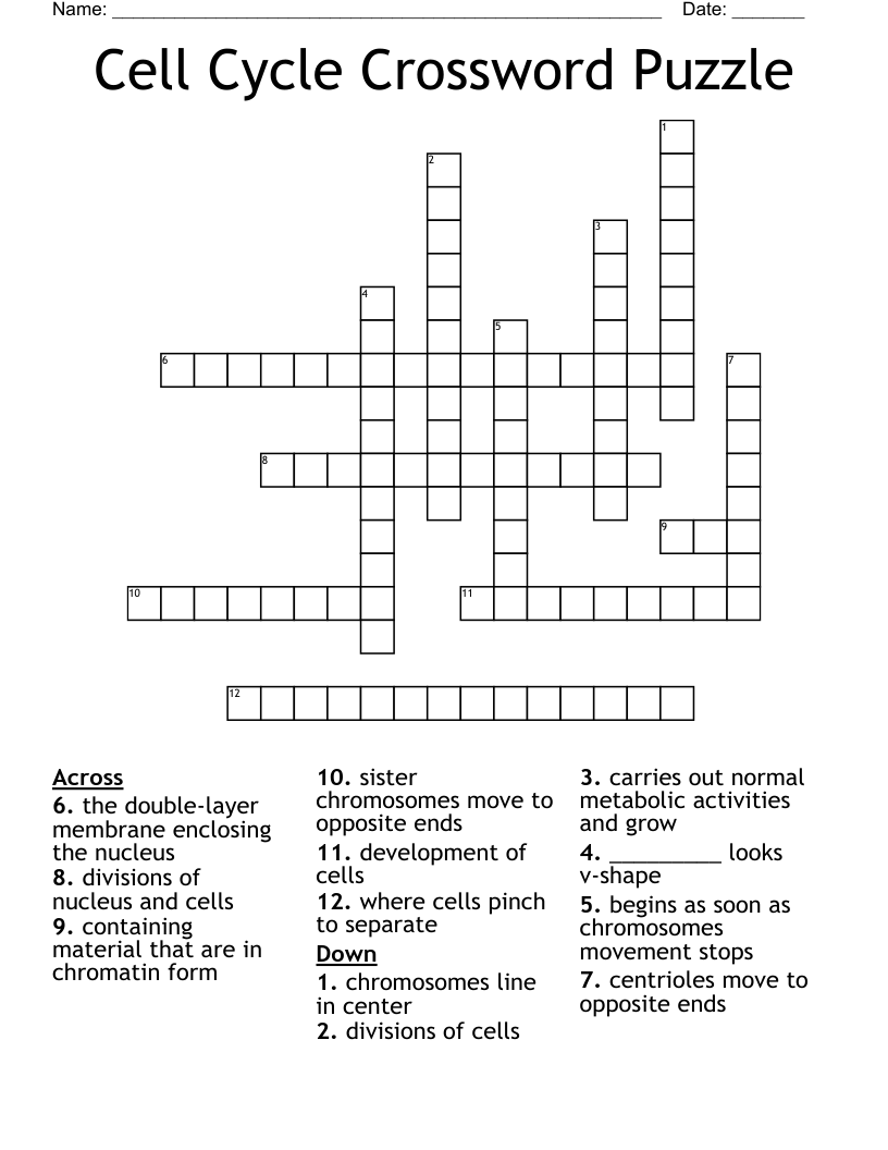 Cell Cycle Crossword Puzzle