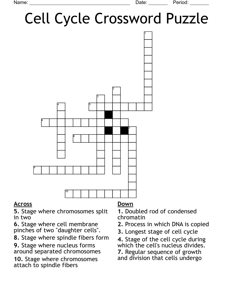 Cell Cycle Crossword Puzzle